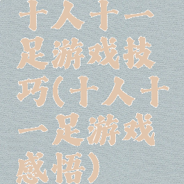 十人十一足游戏技巧(十人十一足游戏感悟)