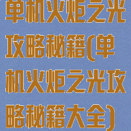 单机火炬之光攻略秘籍(单机火炬之光攻略秘籍大全)
