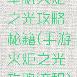 单机火炬之光攻略秘籍(手游火炬之光攻略流程)