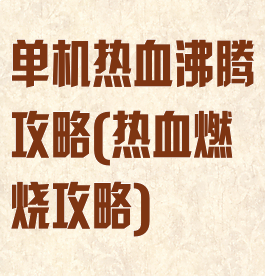 单机热血沸腾攻略(热血燃烧攻略)