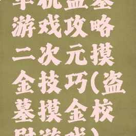 单机盗墓游戏攻略二次元摸金技巧(盗墓摸金校尉游戏)
