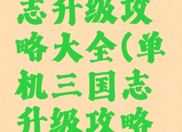 单机三国志升级攻略大全(单机三国志升级攻略大全视频)