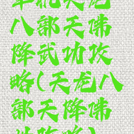 单机天龙八部天佛降武功攻略(天龙八部天降佛世攻略)