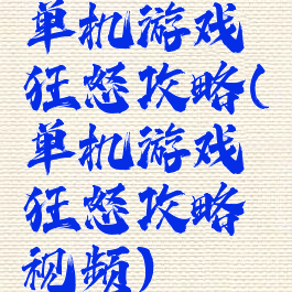 单机游戏狂怒攻略(单机游戏狂怒攻略视频)