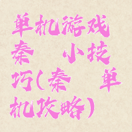 单机游戏秦殇小技巧(秦殇单机攻略)