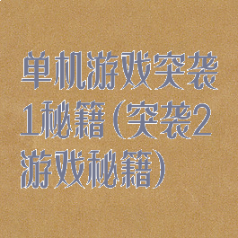 单机游戏突袭1秘籍(突袭2游戏秘籍)
