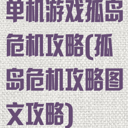 单机游戏孤岛危机攻略(孤岛危机攻略图文攻略)