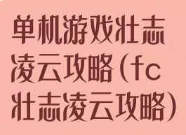 单机游戏壮志凌云攻略(fc壮志凌云攻略)