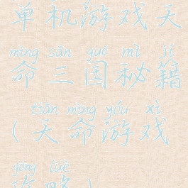 单机游戏天命三国秘籍(天命游戏攻略)