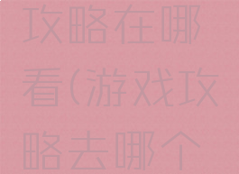 单机游戏攻略在哪看(游戏攻略去哪个网站查)