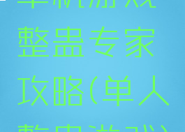 单机游戏整蛊专家攻略(单人整蛊游戏)