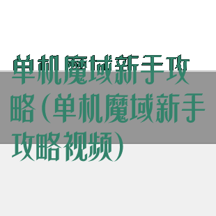 单机魔域新手攻略(单机魔域新手攻略视频)
