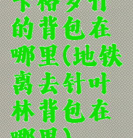 卡格罗什的背包在哪里(地铁离去针叶林背包在哪里)