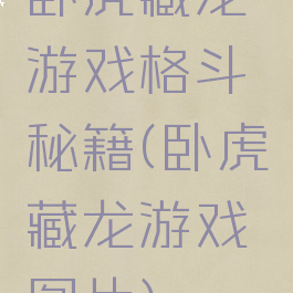 卧虎藏龙游戏格斗秘籍(卧虎藏龙游戏图片)