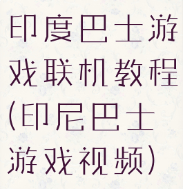 印度巴士游戏联机教程(印尼巴士游戏视频)