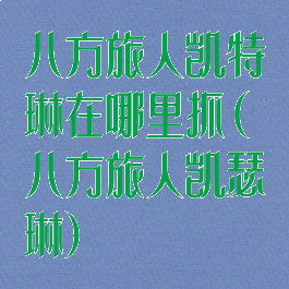 八方旅人凯特琳在哪里抓(八方旅人凯瑟琳)