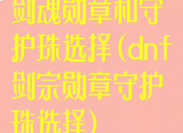 剑魂勋章和守护珠选择(dnf剑宗勋章守护珠选择)