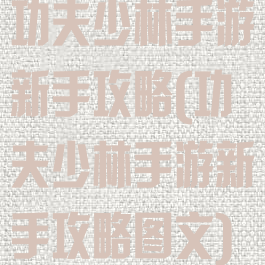 功夫少林手游新手攻略(功夫少林手游新手攻略图文)