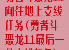 勇者斗恶龙11向往地上支线任务(勇者斗恶龙11最后一个支线任务)