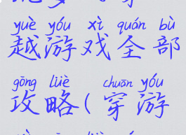 坑爹的穿越游戏全部攻略(穿游戏攻略文)