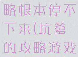 坑爹游戏攻略根本停不下来(坑爹的攻略游戏)