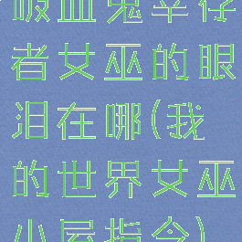 吸血鬼幸存者女巫的眼泪在哪(我的世界女巫小屋指令)