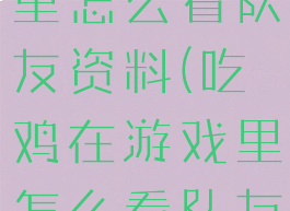 吃鸡在游戏里怎么看队友资料(吃鸡在游戏里怎么看队友资料库)