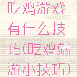 吃鸡游戏有什么技巧(吃鸡端游小技巧)
