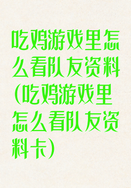 吃鸡游戏里怎么看队友资料(吃鸡游戏里怎么看队友资料卡)