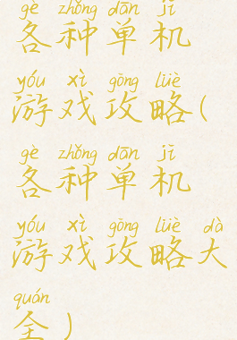 各种单机游戏攻略(各种单机游戏攻略大全)