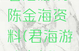 君海游戏陈金海资料(君海游戏老板)