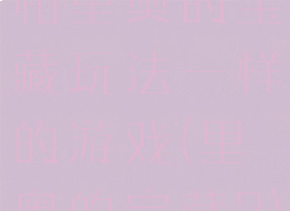 和里奥的宝藏玩法一样的游戏(里奥的宝藏2)