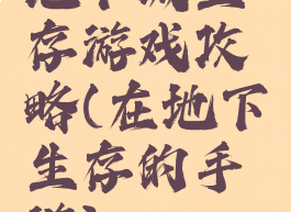 地下城生存游戏攻略(在地下生存的手游)