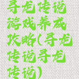 寻龙传说游戏养成攻略(寻龙传说寻龙传说)