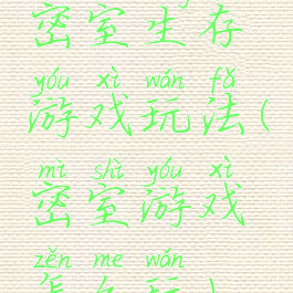 密室生存游戏玩法(密室游戏怎么玩)