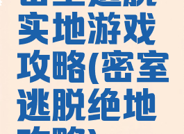 密室逃脱实地游戏攻略(密室逃脱绝地攻略)