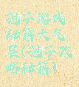 孢子游戏秘籍大气层(孢子攻略秘籍)