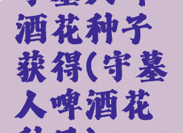 守墓人啤酒花种子获得(守墓人啤酒花种子)