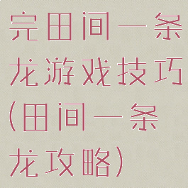 完田间一条龙游戏技巧(田间一条龙攻略)