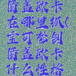 宝可梦剑盾盖欧卡在哪里抓(宝可梦剑盾盖欧卡什么性格比较好)