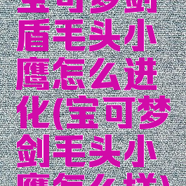 宝可梦剑盾毛头小鹰怎么进化(宝可梦剑毛头小鹰怎么样)