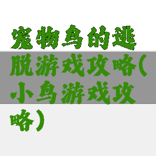 宠物鸟的逃脱游戏攻略(小鸟游戏攻略)