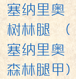 塞纳里奥树林腿铠(塞纳里奥森林腿甲)