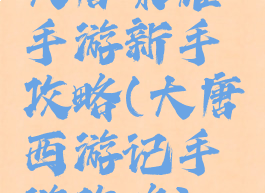 大唐荣耀手游新手攻略(大唐西游记手游攻略)