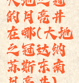 大地之冠的月亮井在哪(大地之冠达纳苏斯东南月亮井)