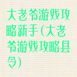 大老爷游戏攻略新手(大老爷游戏攻略县令)