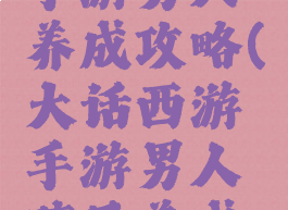 大话西游手游男人养成攻略(大话西游手游男人孩子养成攻略)