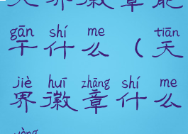 天界徽章能干什么(天界徽章什么用)