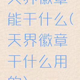 天界徽章能干什么(天界徽章干什么用的)