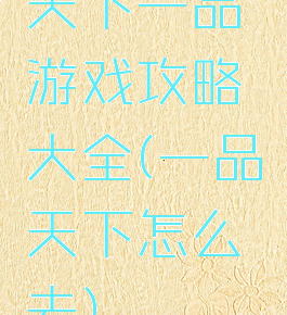 天下一品游戏攻略大全(一品天下怎么去)